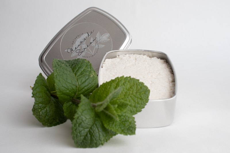 produit pain vaisselle solide dégraissant odeur menthe tea-tree fleurs de sureau